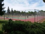 20190624_121303.jpg