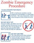 zombiepostersmall.jpg