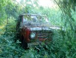 DSC00501.jpg