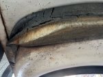 IMG_1059.JPEG