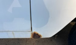 IMG_0482.jpeg