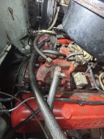 IMG_2335.jpeg