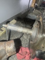IMG_9484.jpeg