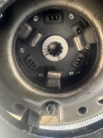 IMG_9486.jpeg