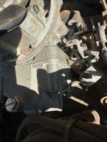 IMG_7808.jpeg