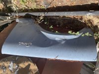 IMG_2895.jpeg