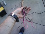 2009-08-18 08.47.36.jpg