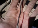 2009-08-18 13.46.19.jpg