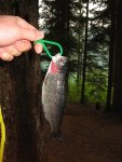 Clear Lake 2009 6.jpg