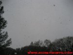 IMG_3116.JPG