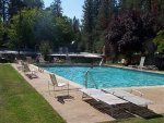 pool.jpg