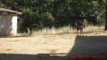 IMG_3599.JPG