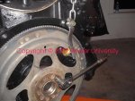 Flex Plate Holder.jpg