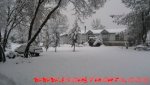 IMG_4161.JPG