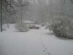 Copy of View from road 12-18-09 .jpg