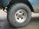 Hooty 002.jpg