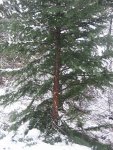 IMG_1541.jpg