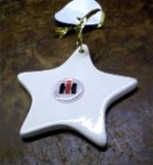 christmas star.jpg