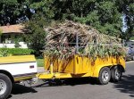 yellow trailer2.jpg