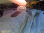 IMG_0104.JPG