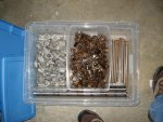DSC04335.jpg