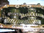 SV100331.jpg