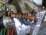 tied bulb.jpg