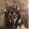 Hondo