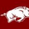 razorback1973